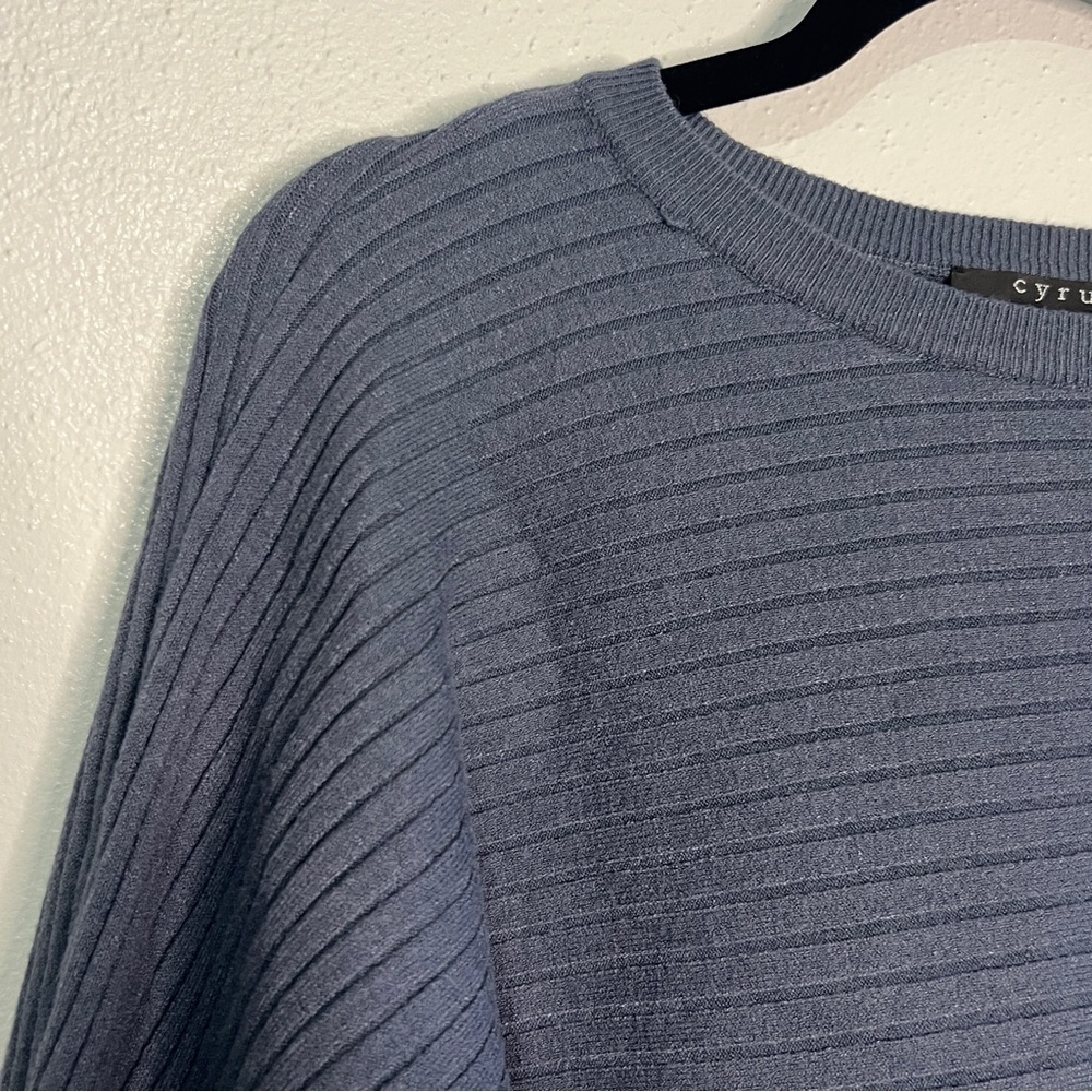 Cyrus gray long sleeved blue sweater w/ dolman sleeves. Sz L. Preowned. - Picture 3 of 9